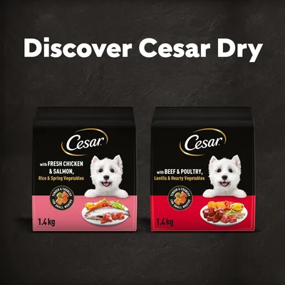 Cesar Adult with Beef, Poultry & Vegetables