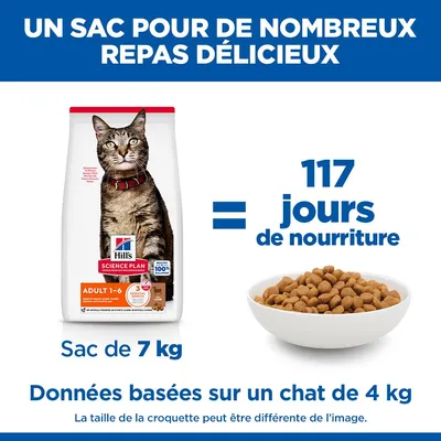 Hill's Science Plan Adult agneau, riz