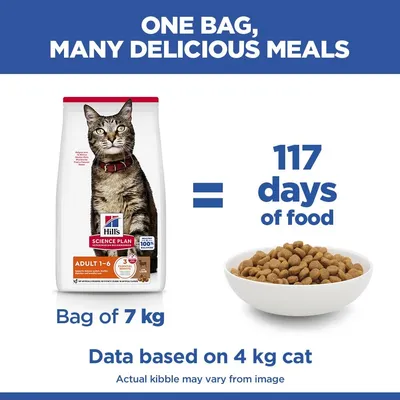 Hill's Science Plan Adult bárány & rizs