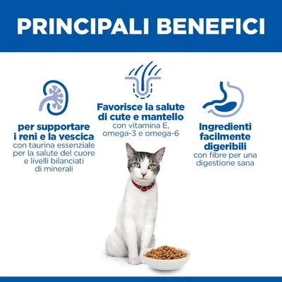 Hill's Science Plan Senior 11+ Pollo