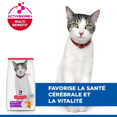 Hill's Science Plan Senior 11+ nourriture pour chat avec ActivBiome+ Multi Benefit. Soutient la santé cérébrale et la vitalité. Hill's Science Plan Senior 11+ nourriture pour chat avec ActivBiome+ Multi Benefit. Soutient la santé cérébrale et la vitalité.