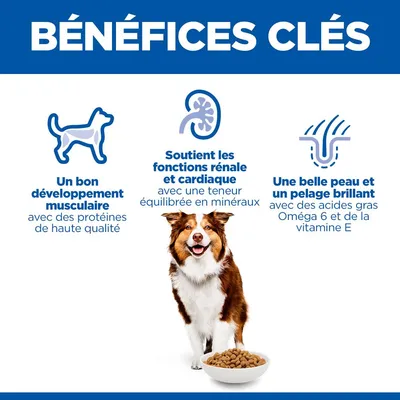 Hill's Science Plan Mature Adult 7+ Medium poulet