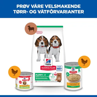 Hill's Science Plan Puppy <1 Medium med lam & ris