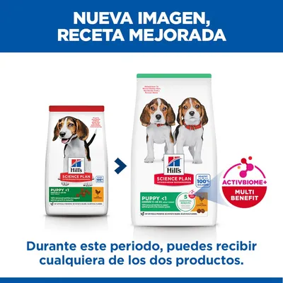Hill's Science Plan Puppy <1 Medium  con pollo