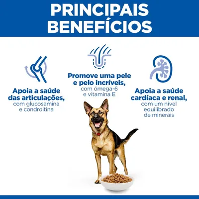 Hill's Science Plan Mature Adult 6+ Large com frango