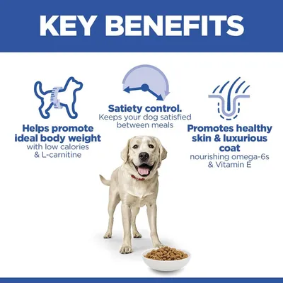 Hill's Science Plan Adult Light Large Breed with Chicken