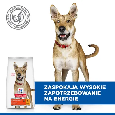 Hill's Science Plan Performance Adult 1+ , kurczak