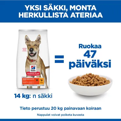 Hill's Science Plan Adult 1+ Performance Chicken