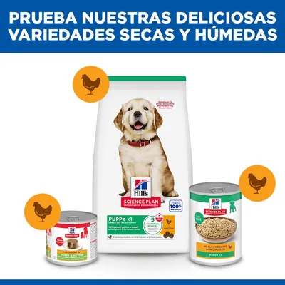 Hill's Science Plan Puppy <1 Large con pollo