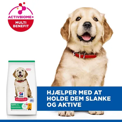 Hill's Science Plan Puppy <1 Large med kylling