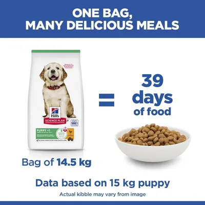 Hill's Science Plan Puppy <1 Large csirke