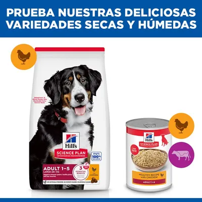 Hill's Science Plan Adult 1-5 Large con pollo