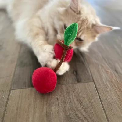Plush toy in cherry shape with red fabric and green leaf, played with by a cat on a wooden floor.