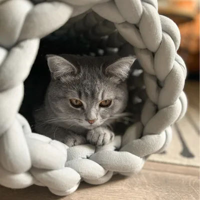 Gatto grigio sdraiato in un tunnel intrecciato grigio di tessuto morbido. Il prodotto mostra l'uso di un accessorio per pet.
