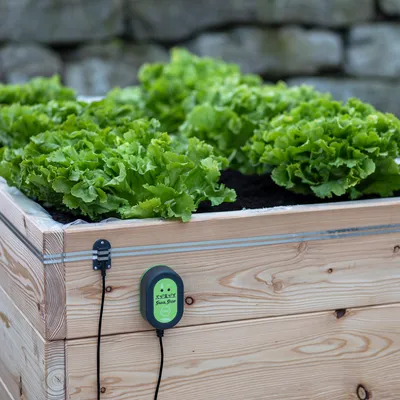 Holz-Hochbeet mit grünem Salat und Schneckenabwehrgerät 'Snail Stop' an der Seite befestigt.
