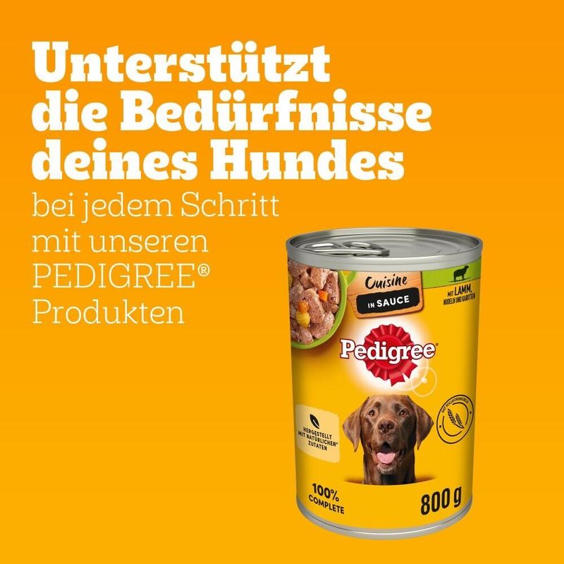 Pedigree Classic 12 x 800 g