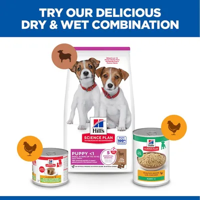 Hill`s Science Plan Puppy Small & Mini Αρνί & Ρύζι