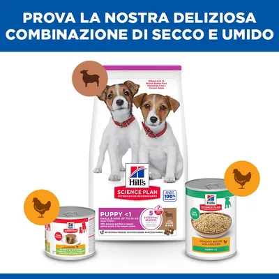 Hill's Science Plan Puppy Small & Mini Agnello & Riso