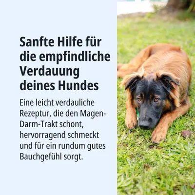 Sanfte Hilfe für die empfindliche Verdauung deines Hundes. Leicht verdauliche Rezeptur, schont Magen-Darm-Trakt, schmeckt hervorragend und sorgt für gutes Bauchgefühl.