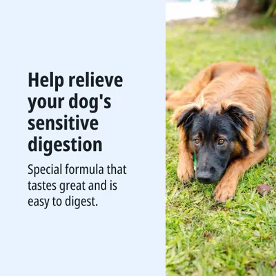 Ayuda a la digestión sensible de su perro. Fórmula especial, sabrosa y de fácil digestión. Ayuda a la digestión sensible de su perro. Fórmula especial, sabrosa y de fácil digestión.