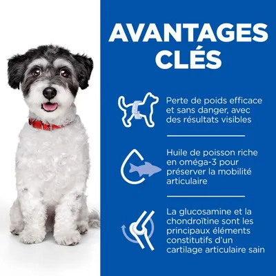 Hill’s Science Plan Perfect Weight & Active Mobility Adult Small & Mini avec poulet Hill’s Science Plan Perfect Weight & Active Mobility Adult Small & Mini avec poulet