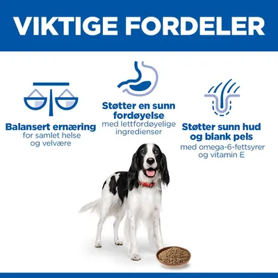 Hill's Science Plan Adult 1–6