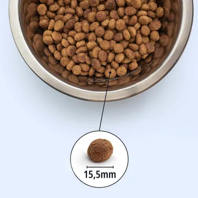 Schale mit Trockenfutter; Detailansicht eines einzelnen Stücks mit Größenangabe: 15,5 mm. Schale mit Trockenfutter; Detailansicht eines einzelnen Stücks mit Größenangabe: 15,5 mm.