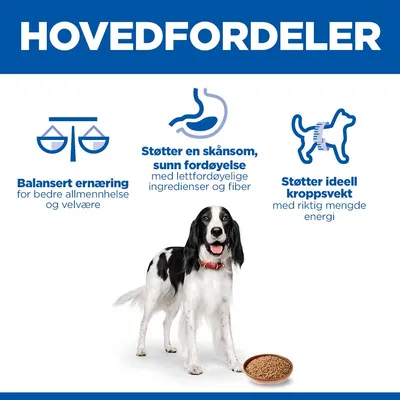 Hill's Science Plan Adult 1–6