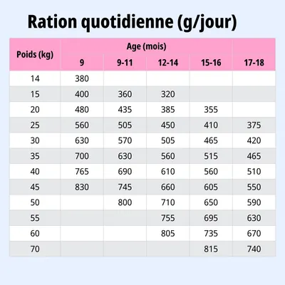 Tableau d'alimentation : ration journalière recommandée en grammes selon le poids (14, 70 kg) et l'âge (9, 18 mois). Valeurs indiquées pour chaque combinaison. Tableau d'alimentation : ration journalière recommandée en grammes selon le poids (14, 70 kg) et l'âge (9, 18 mois). Valeurs indiquées pour chaque combinaison.