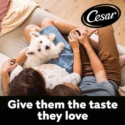 Cesar Junior with Chicken, Rice & Vegetables