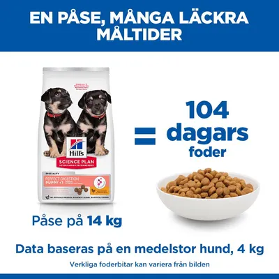 Hill's Science Plan Medium Puppy Perfect Digestion