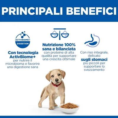 Hill's Science Plan Large Puppy Perfect Digestion Crocchette per cani