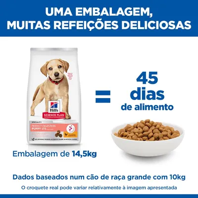 Hill's Large Puppy Perfect Digestion Puppy Large frango e arroz integral