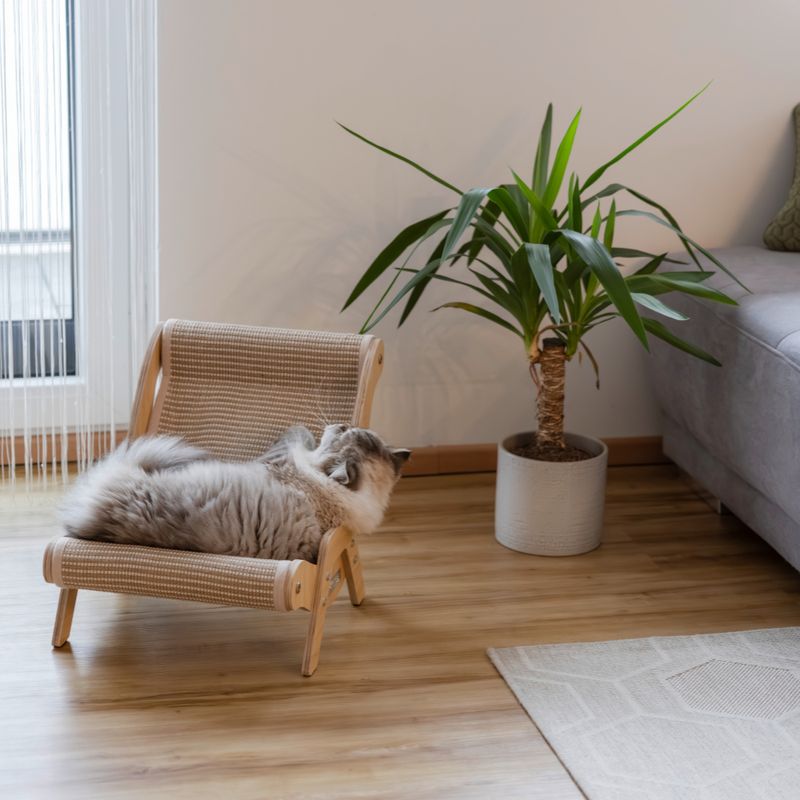 Kerbl Pet Katzenliegestuhl Sundowner