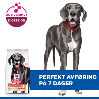 Hill's Science Plan Perfect Digestion Adult Large med kylling & brun ris