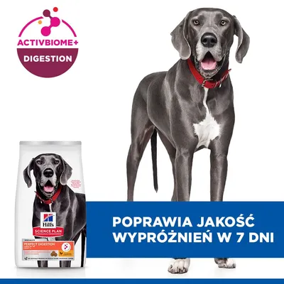 Hill's Science Plan Perfect Digestion Adult Large, kurczak i brązowy ryż