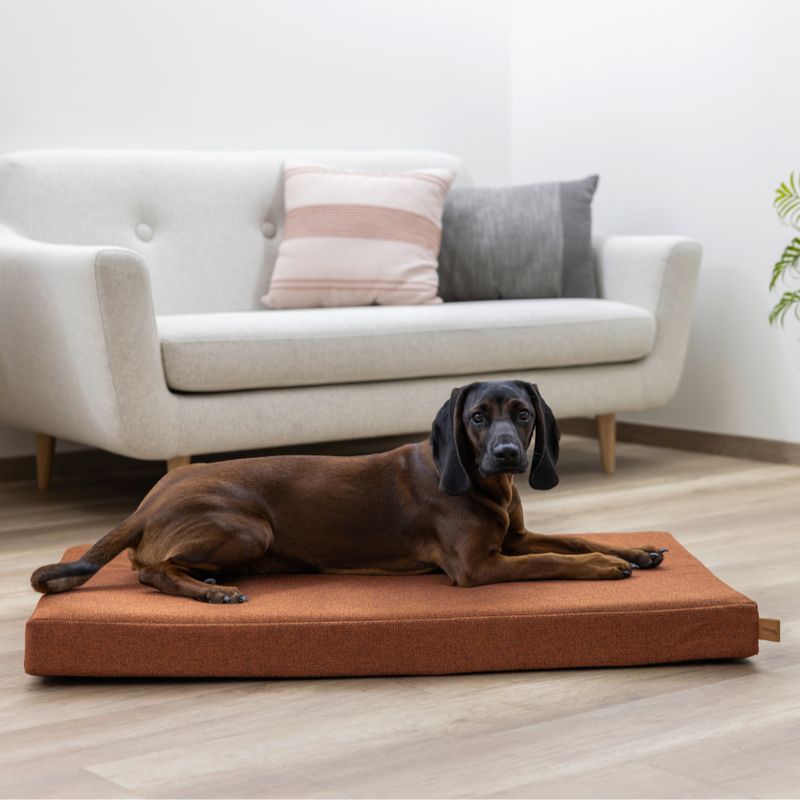 Kerbl Pet Memory Foam Matratze Oliver, rost