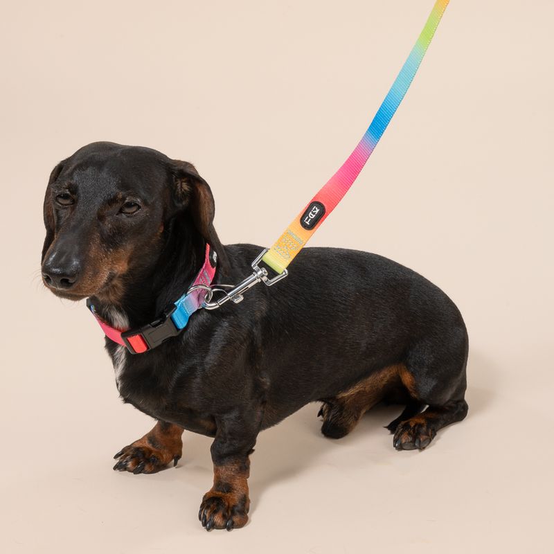 TIAKI Hundeleine Rainbow