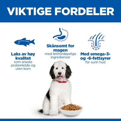Hill's Science Plan Hypoallergenic Adult Large med laks