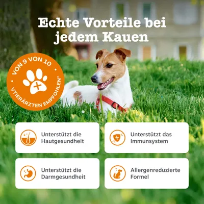 Zesty Paws Allergy & Immunity Chews Lachs