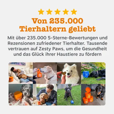 Zesty Paws Senior Advanced 9-in-1 Chews Truthahn
