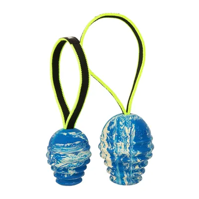 Julius-K9 Duoplay Antibacterial Dog Ball