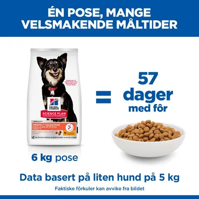 Hill's Science Plan Perfect Digestion Adult 1+ Small & Mini med kylling & brun ris