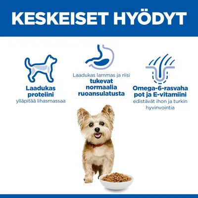 Hill's Science Plan Adult 1-6 Small & Mini lammas & riisi