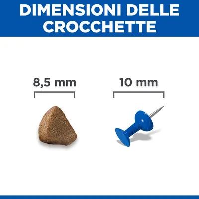 Hill's Science Plan Kitten <1 Salmone