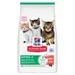 Hill's Science Plan Kitten <1 Zalm