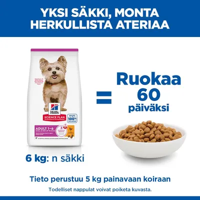 Hill's Science Plan Adult T-6, 6 kg säkki riittää 60 päivän ruokintaan. Määrä perustuu 5 kg painoisen koiran ruokintaan. Kuvassa näkyvät nappulat voivat poiketa todellisista. Hill's Science Plan Adult T-6, 6 kg säkki riittää 60 päivän ruokintaan. Määrä perustuu 5 kg painoisen koiran ruokintaan. Kuvassa näkyvät nappulat voivat poiketa todellisista.