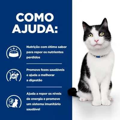 Como ajuda: Alimentação saborosa para repor nutrientes perdidos, promove fezes saudáveis e uma boa digestão, apoia a energia e o sistema imunitário. Como ajuda: Alimentação saborosa para repor nutrientes perdidos, promove fezes saudáveis e uma boa digestão, apoia a energia e o sistema imunitário.
