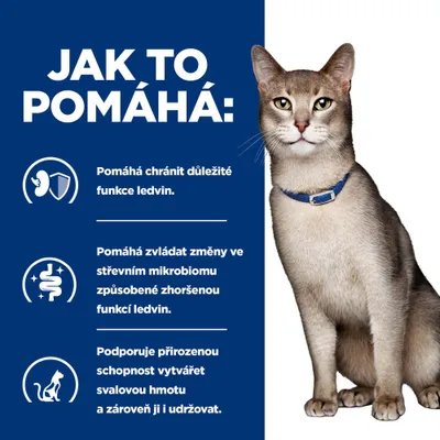 Grafika se třemi body: ochrana funkce ledvin, podpora střevního mikrobiomu při problémech s ledvinami, podpora a zachování svalové hmoty. Kočka vpravo na obrázku. Grafika se třemi body: ochrana funkce ledvin, podpora střevního mikrobiomu při problémech s ledvinami, podpora a zachování svalové hmoty. Kočka vpravo na obrázku.