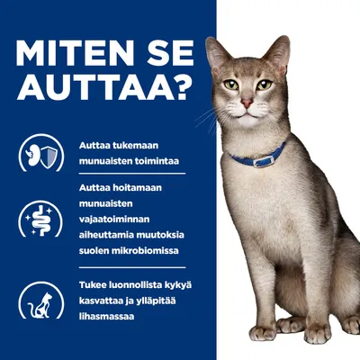 Grafiikka, jossa teksti suomeksi: Tukee munuaisten toimintaa, auttaa munuaisten vajaatoiminnan aiheuttamien muutosten hallinnassa suoliston mikrobiomissa, edistää lihasmassan säilymistä. Oikealla kuvattuna kissa. Grafiikka, jossa teksti suomeksi: Tukee munuaisten toimintaa, auttaa munuaisten vajaatoiminnan aiheuttamien muutosten hallinnassa suoliston mikrobiomissa, edistää lihasmassan säilymistä. Oikealla kuvattuna kissa.